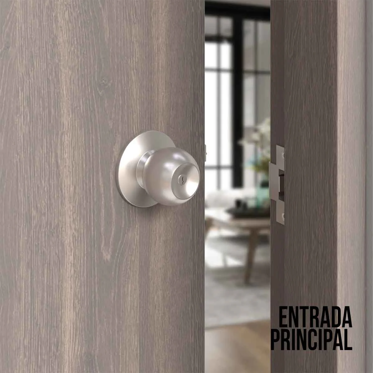 Imagen del producto 16