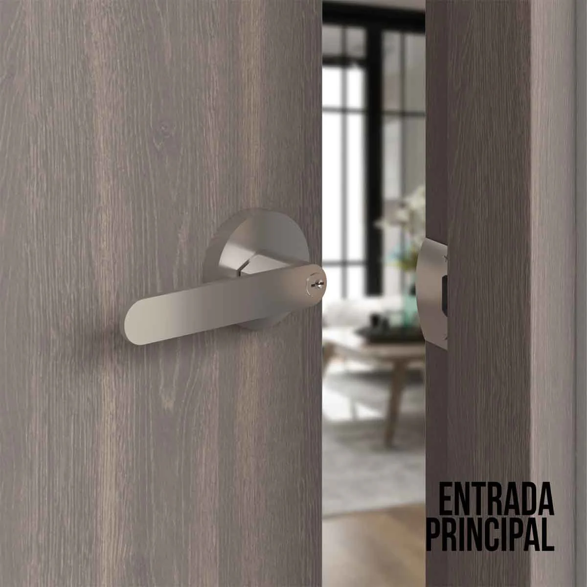 Imagen del producto 16